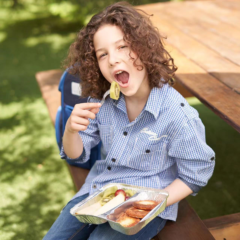 с двумя решетчатыми пластинами